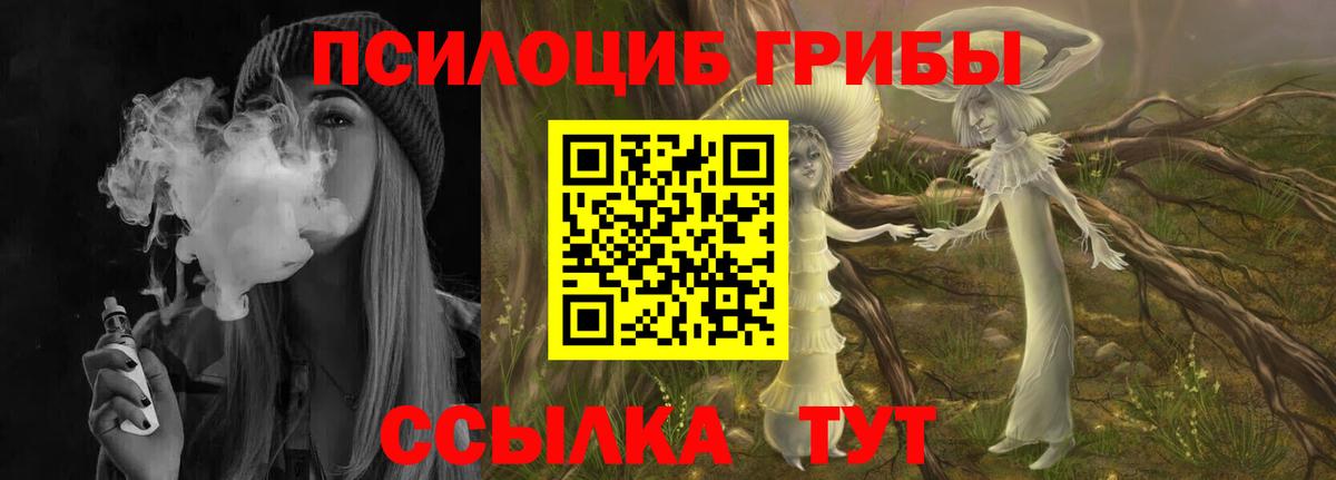 Псилоцибиновые грибы прущие грибы Наро-Фоминск